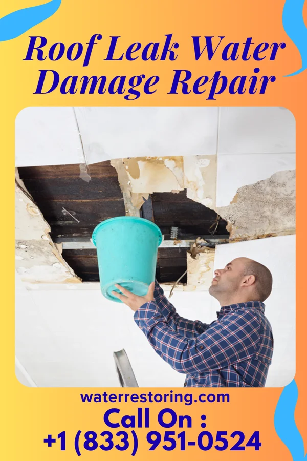 Roof Leak Water Damage Repair in Warrenton, NC